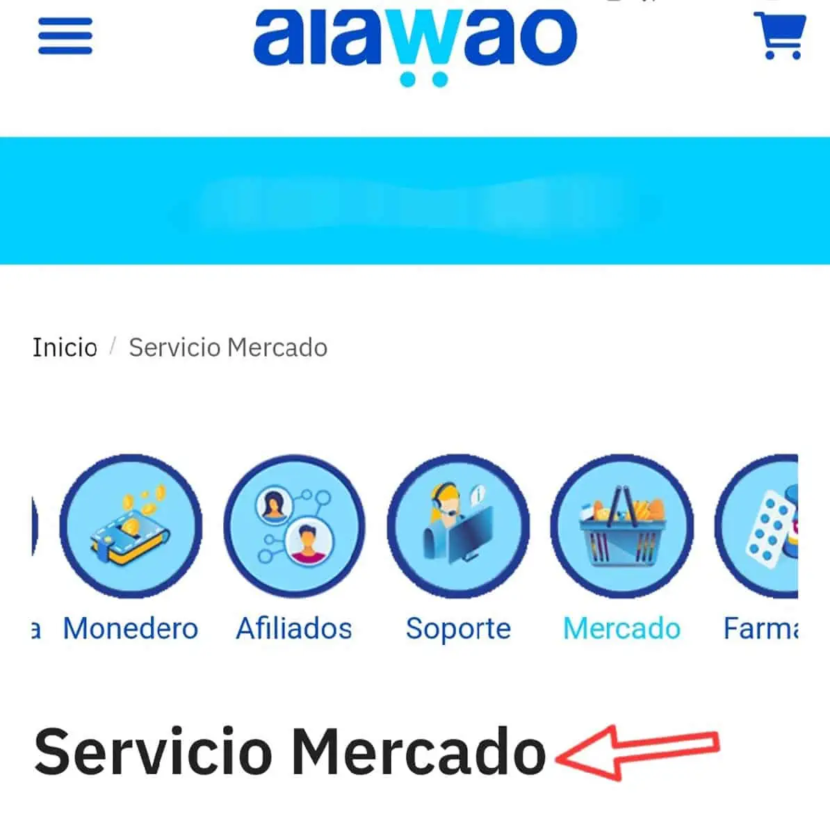 servicio de mercado en alawao